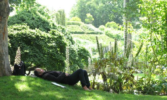Man resting on grass in a park
