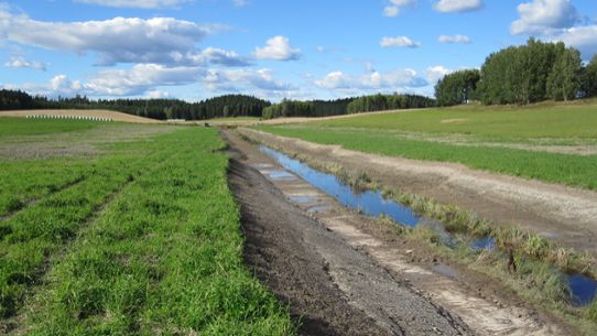 Two-stage ditch on farmland.