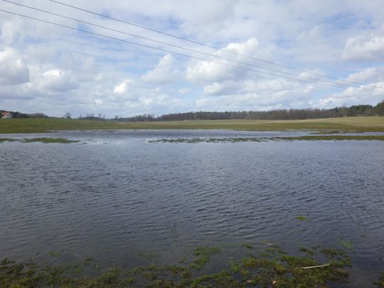 Flooding at Häckenstad farm
