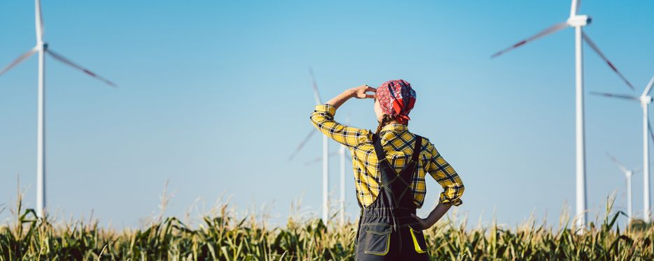 Lantbrukare tittar ut över sädesfält med vindkraftsverk.
