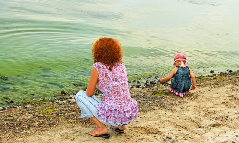 Vuxen och barn vid stranden. Vattnet är grönt av alger.