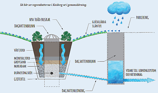 Rain borders for the management of surface runoff.